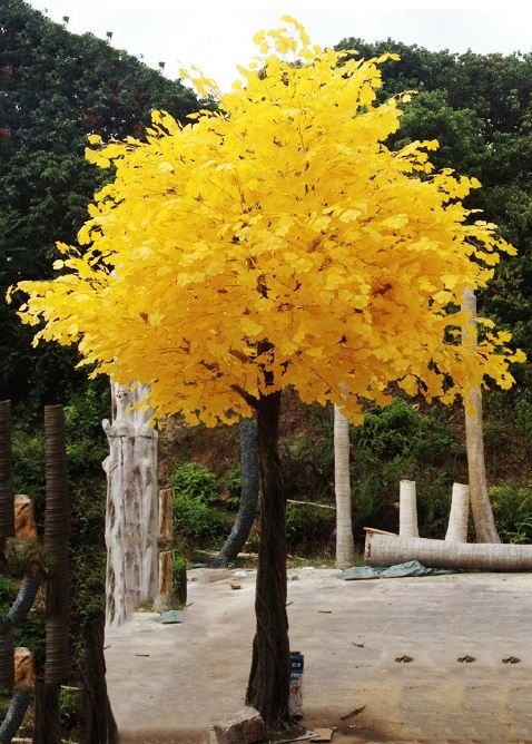 Kādas ir imitēto ginkgo koku galvenās īpašības