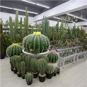 Mākslīgais kaktuss