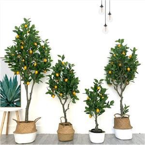 Mākslīgās plastmasas citronu koks