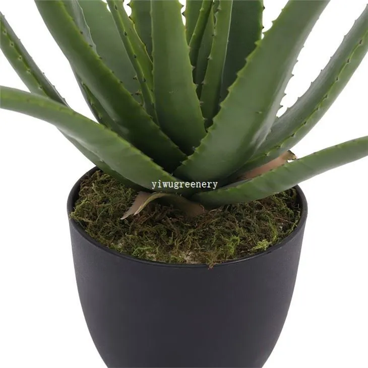 artificial agave plant indoor